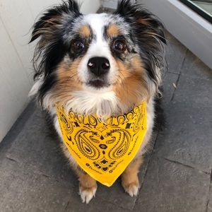 Meet your Posher, Alaina